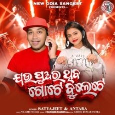 Jau Puara Thiba Gote Bullete